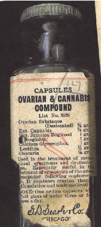 Cannabis