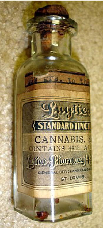 Cannabis