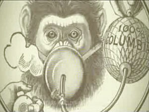 Monkey