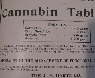 Cannabis