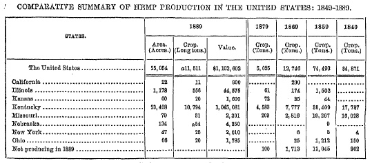 Cesnus Table