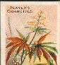 TradeCard