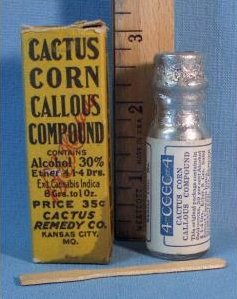 Cactus.jpg