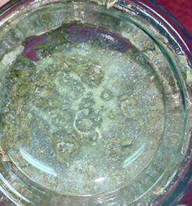 R04BJamesWoolly.jpg