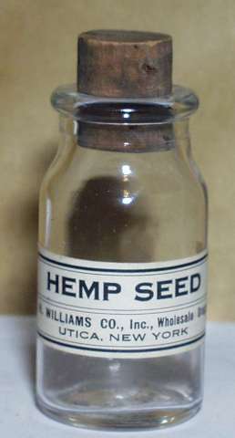 BHempSeedOil.jpg
