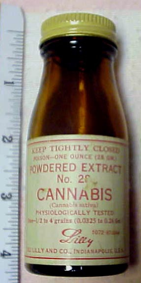 P10ALilly.jpg