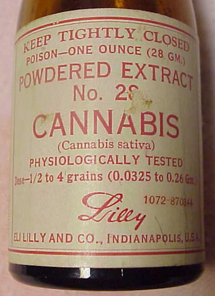 P10BLilly.jpg