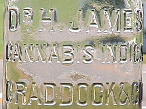 QCDrJames.jpg