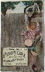 Post Cards