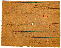 Prescript_D.htm