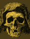  Skull Face 